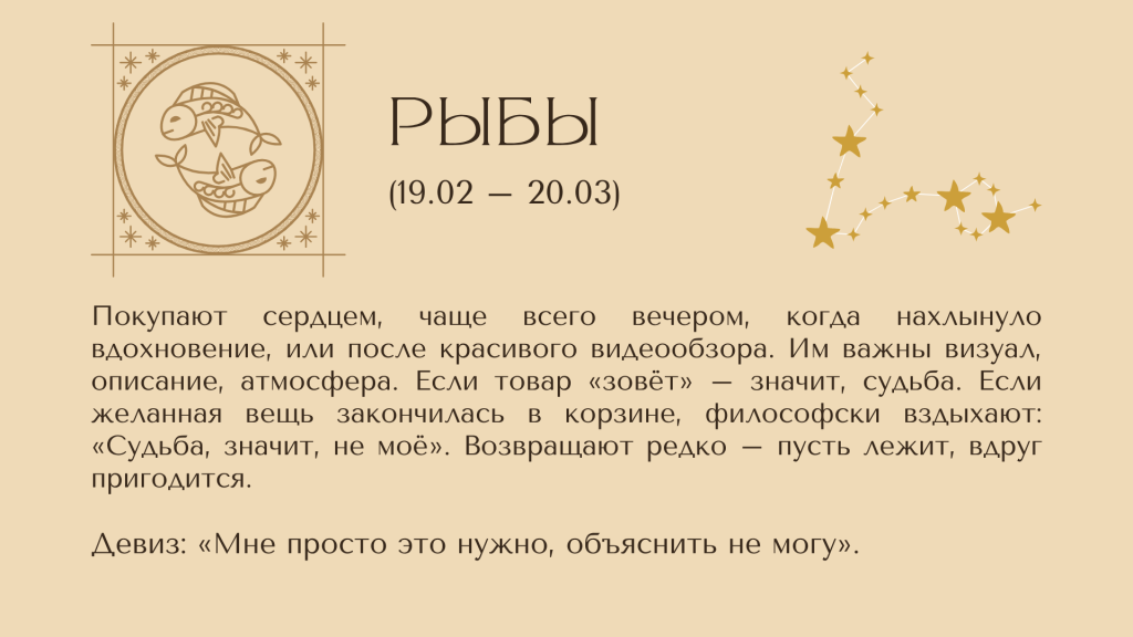 13.png